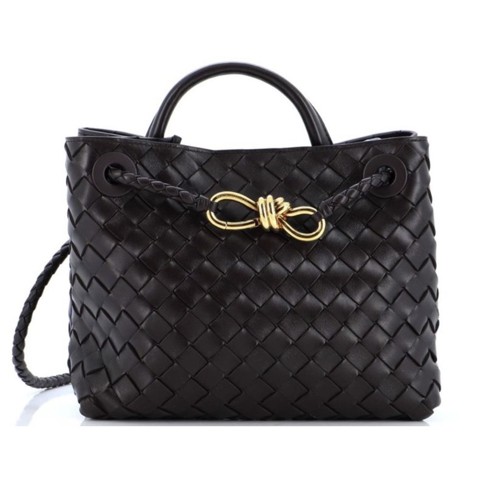 Bottega Veneta Andiamo Small